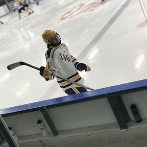 Meet your Posher, Gavin